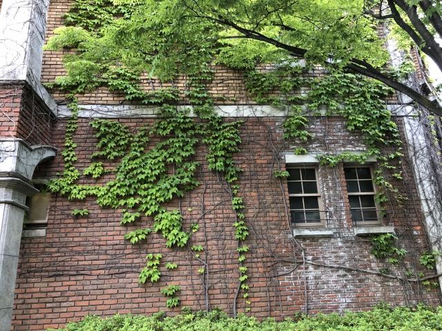 麻耶雄嵩のおすすめの作品9選！ざっくりと紹介