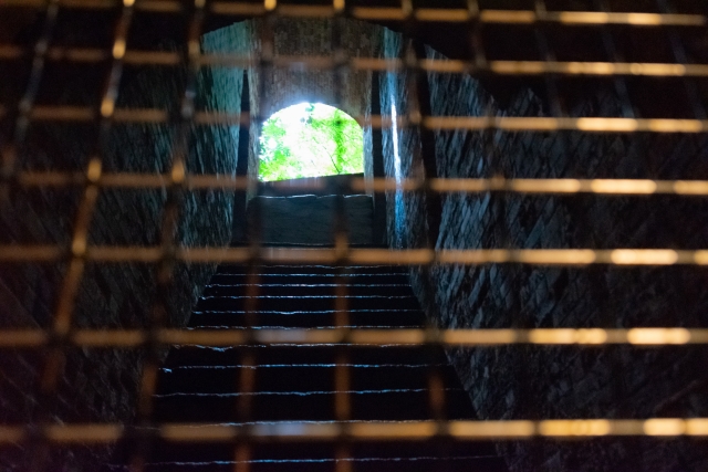 法月綸太郎のおすすめ作品8選のあらすじと特徴を紹介