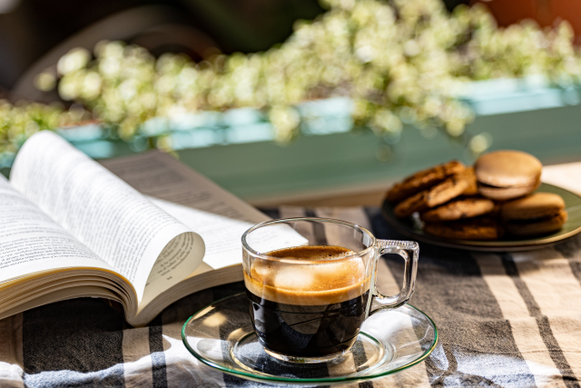 新堂冬樹のおすすめ小説7選