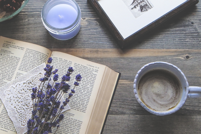 桜木紫乃とは？経歴と代表作