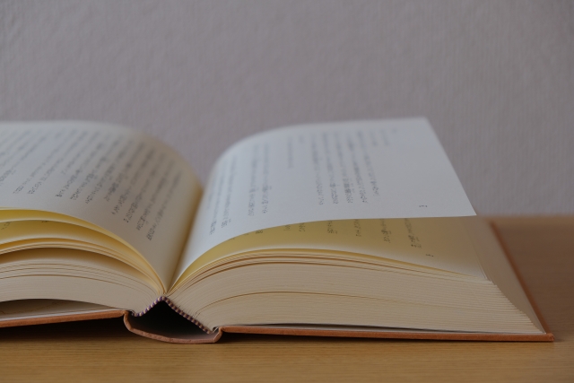 新堂冬樹とは？人物と経歴