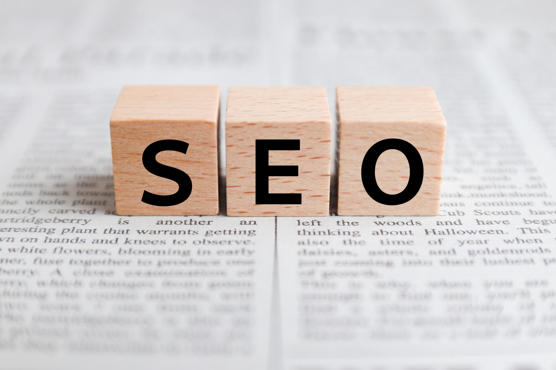 SEOライターとは?役割・特徴・依頼の際のポイントを解説